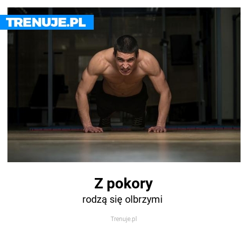 Z pokory