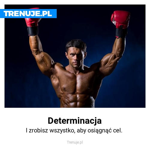 Determinacja