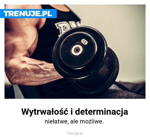 Wytrwałość i determinacja