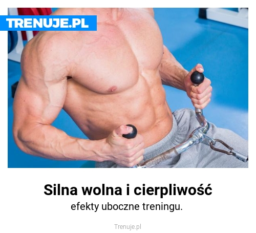 Silna wolna i cierpliwość
