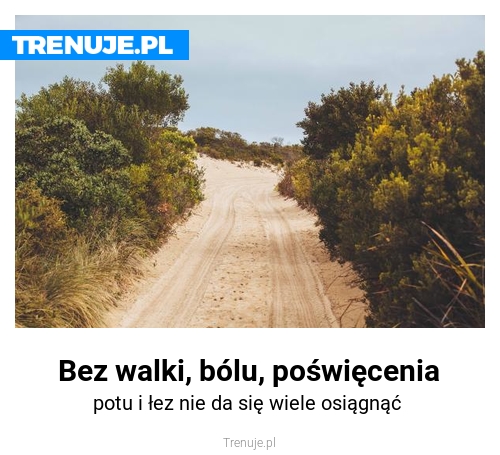 Bez walki, bólu, poświęcenia