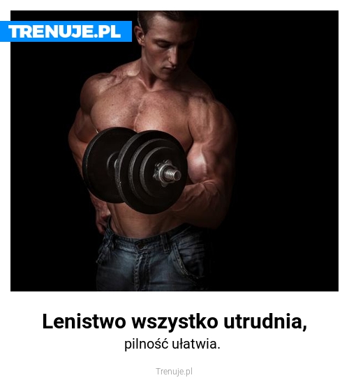 Lenistwo wszystko utrudnia,