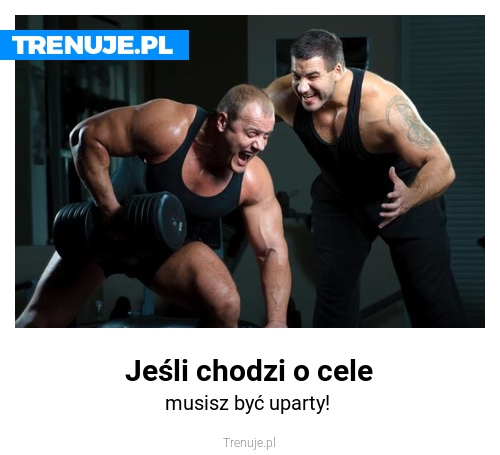 Jeśli chodzi o cele