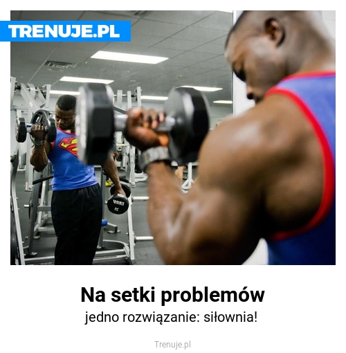 Na setki problemów