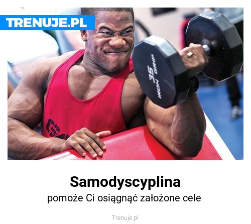 Samodyscyplina