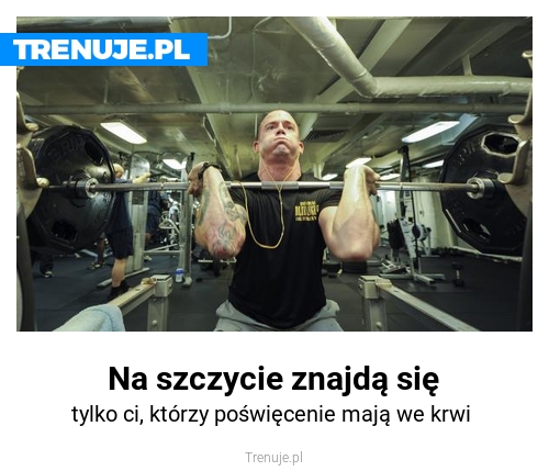 Na szczycie znajdą się
