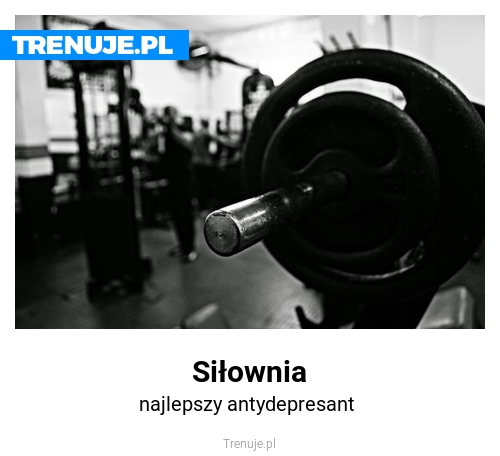 Siłownia
