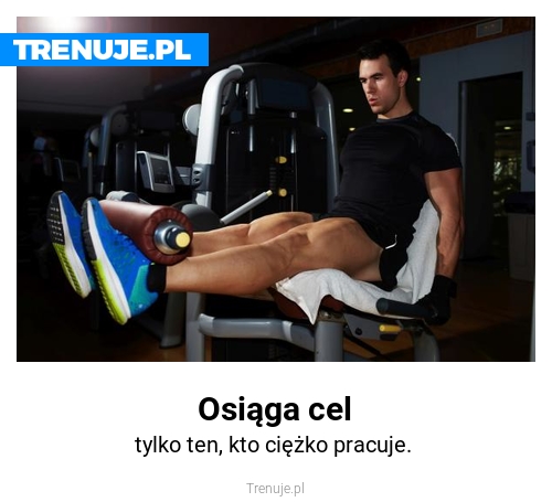 Osiąga cel
