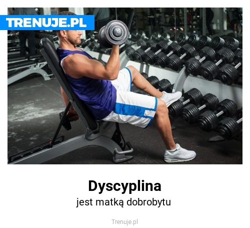 Dyscyplina