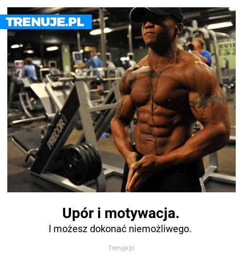 Upór i motywacja.