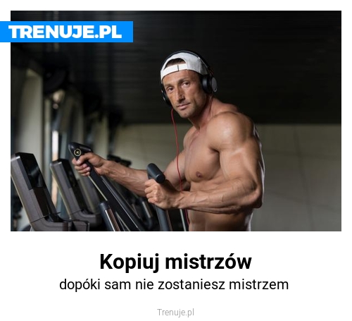Kopiuj mistrzów