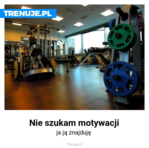 Nie szukam motywacji