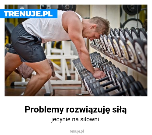 Problemy rozwiązuję siłą
