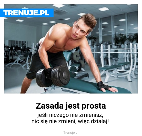 Zasada jest prosta