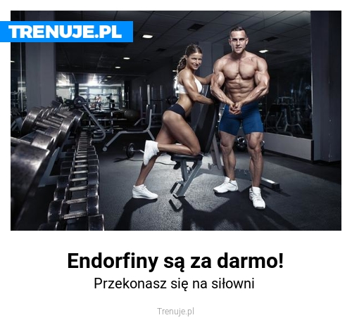 Endorfiny są za darmo!